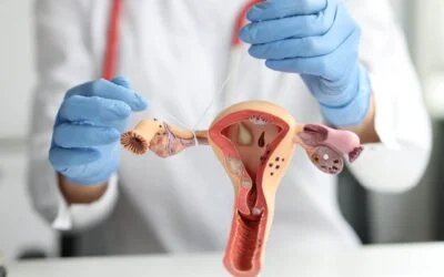 Fallopian Tubes, Sub-fertility and Solution