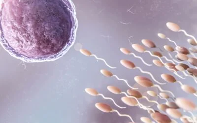 Top 5 Fertility Lessons From People Who Have Been There!