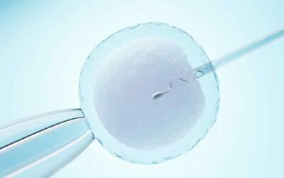 What is IMSI or Intra Cytoplasmic Morphologically selected sperm injection?