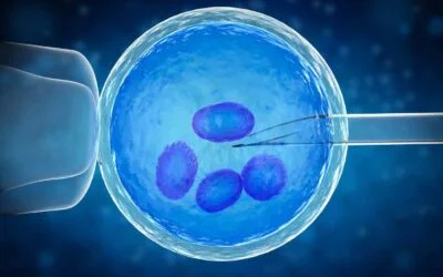 What is Preimplantation Genetic Diagnosis (PGD)?