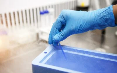 A Closer Look at Frozen Embryo Transfer (FET) Procedure