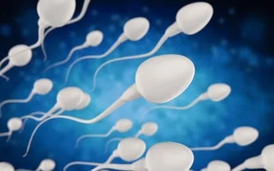 Does Male Fertility Decline Over Time?