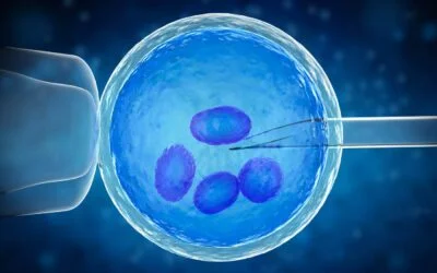 IVF and IUI Treatment for Infertility in Telugu