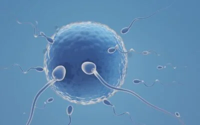 Top 5 IVF and Fertility Facts!