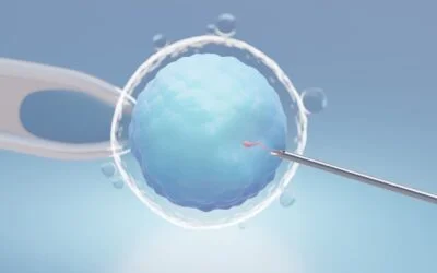 What To Expect During IVF Treatment?