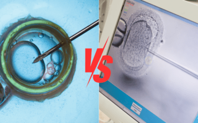 IVF vs ICSI Fertility Treatment