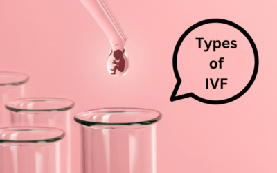 What are all the types of IVF Treatments?