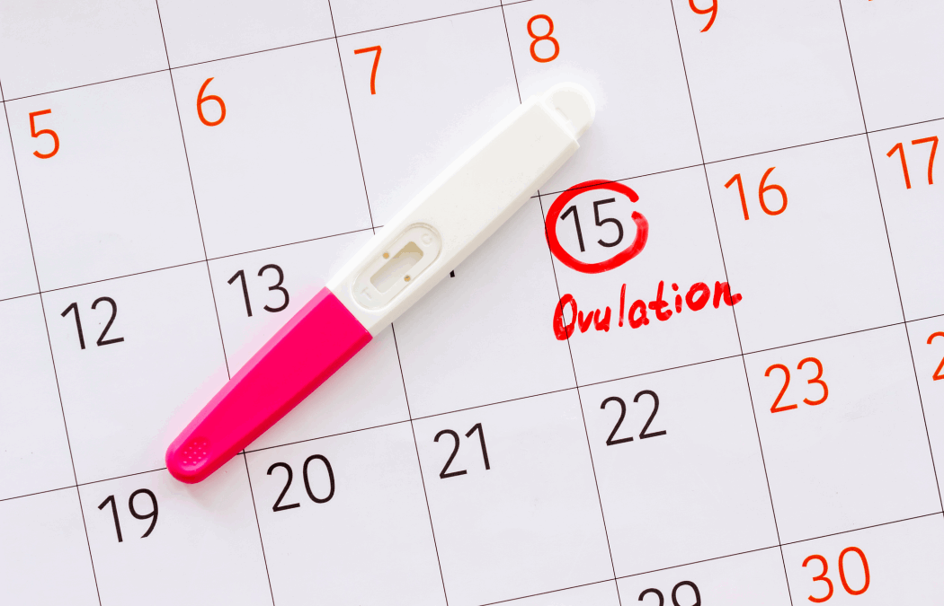 Understanding Ovulation Problems & Ovulation Induction Treatment in Hyderabad – MotherToBe
