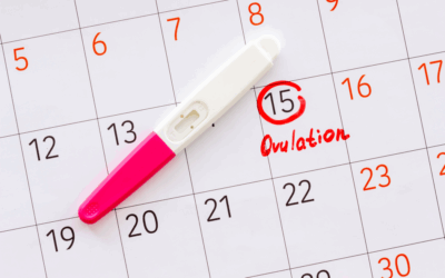 Understanding Ovulation Problems & Ovulation Induction Treatment in Hyderabad – MotherToBe